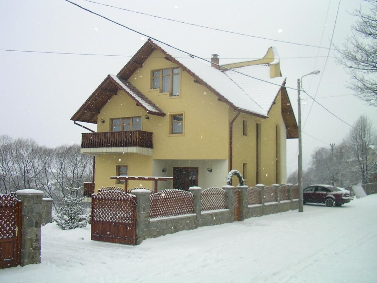 Гостевой дом Vila Iulia Ватра-Дорней-6